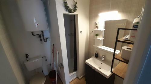 ein Badezimmer mit einem Waschbecken, einem WC und einem Spiegel in der Unterkunft Le Sentier des Lavandes in Vresse-sur-Semois