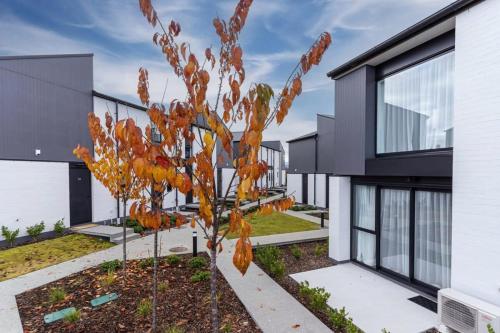 Albert TownAlbert Town Views的相册照片