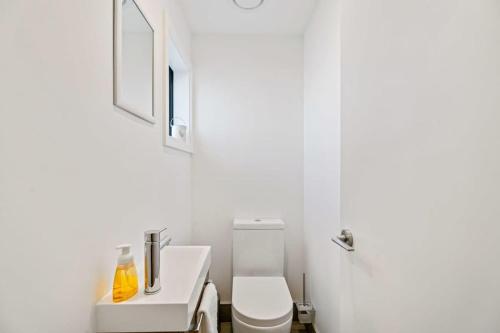 a bathroom with a white toilet and a sink at Alpine Adventurer's Abode in Albert Town