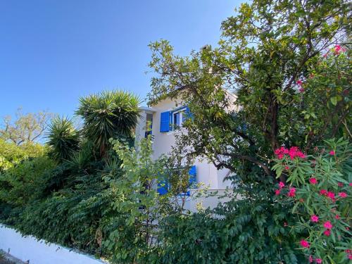 Fiona's House Apartments