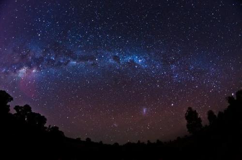 a night sky with a lot of stars and trees at Sterling House Spacious Deck BBQ Pet Friendly in Dubbo