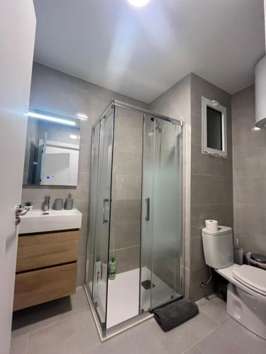 a bathroom with a shower and a toilet and a sink at Apartamento León céntrico, moderno y muy equipado in Almansa