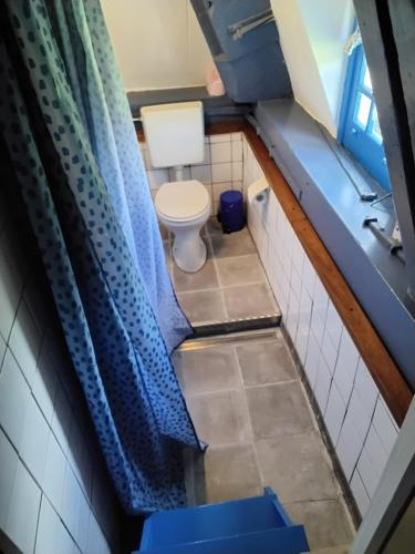 a bathroom with a toilet and a blue shower curtain at Slapen bij de molenaar in Leerdam
