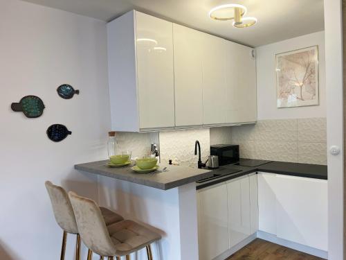 Köök või kööginurk majutusasutuses Art Apartment Górnośląska 4 by Perfect Apart