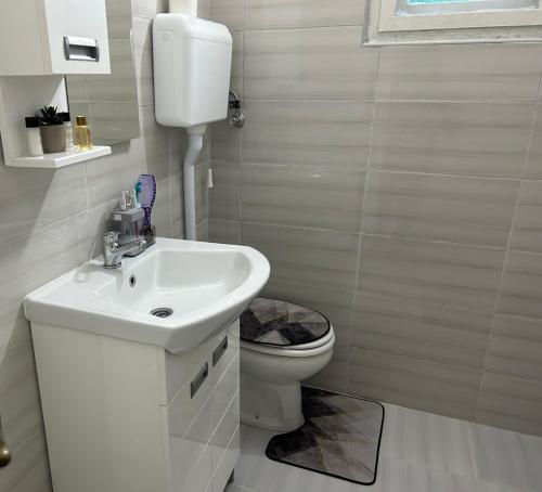 a white bathroom with a toilet and a sink at Miris prirode in Vrdnik