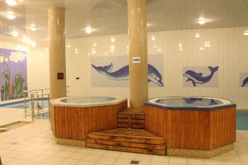 Spa- og/eller wellnessfaciliteter på Wellness Hotel Szindbád