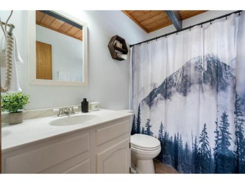 a bathroom with a toilet and a shower curtain at The Matterhorn I HotTub I Ping Pong I Chalk Wall in Fairmont Hot Springs
