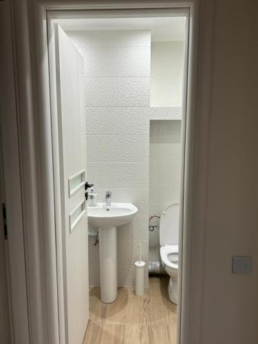 a bathroom with a sink and a toilet at Hermann Central Apartment in Sibiu