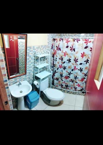 a bathroom with a toilet and a sink and a shower curtain at Home Dreams Cusco in Cusco