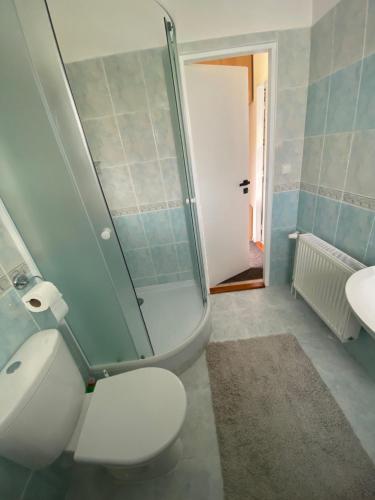 a bathroom with a shower and a toilet and a sink at Apartmán U Onky in Luhačovice