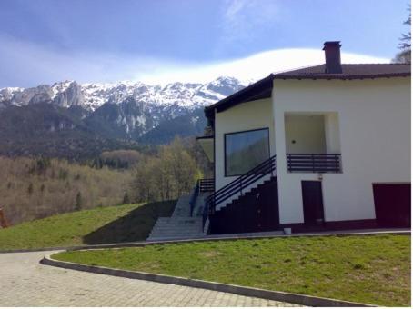 une maison avec un escalier menant à une montagne dans l'établissement Villa & SPA 4Temporadas BASM - Plaiul Foii, à Zărneşti