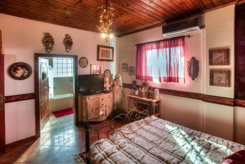 a bedroom with a bed and a television in it at The Estate of Thebes in Loukísia