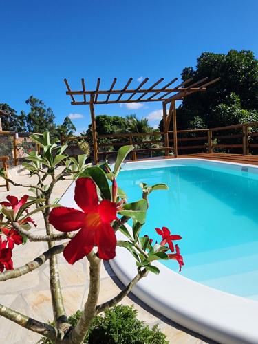 una planta con una flor roja junto a una piscina en Pousada Canto do Sabiá en Piúma