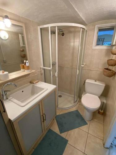 La salle de bains est pourvue d'un lavabo et de toilettes. dans l'établissement La petite palmeraie, à Fréjus