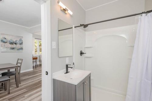ein Bad mit einem Waschbecken und einem Spiegel in der Unterkunft Bowen Street Bungalow - 3 bed 2 bath in Oshkosh