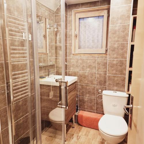 une salle de bain avec toilettes, lavabo et douche dans l'établissement LE PICOULET : Appartement tout confort Coeur de village( 5/7 ), à Allos