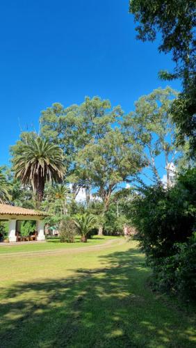 Κήπος έξω από το Posada El Prado