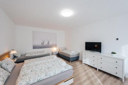 a living room with two beds and a tv at Apartmán U Zámku - Apartment by the Castle in Blatná
