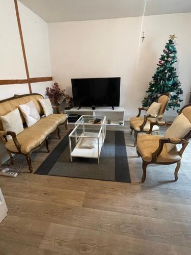 a living room with a tv and a christmas tree at Soso house in La Ferté-sous-Jouarre