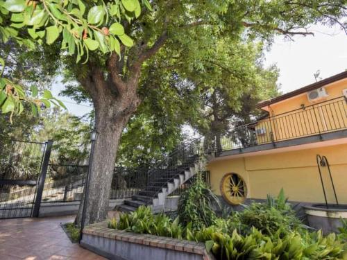 a tree next to a building with a staircase at Villa Anna in Mascali