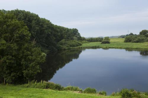 a body of water in a field with trees at Hotel Lange in Leer