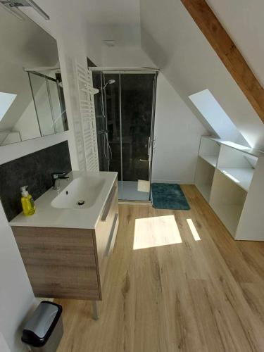 une salle de bain blanche avec un lavabo et une douche dans l'établissement Agréable maison neuve, à Pontivy