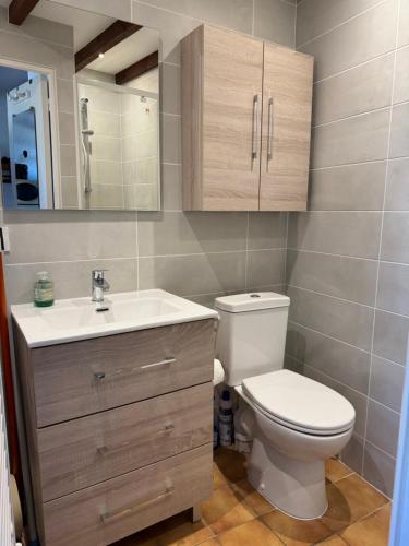 een badkamer met een toilet, een wastafel en een spiegel bij Studio Bord de mer avec terrasse in Saint-Georges-de-Didonne