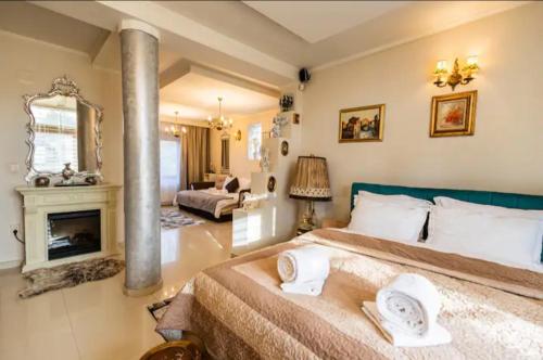 a bedroom with a large bed and a fireplace at Apartament GOLD in Timişoara