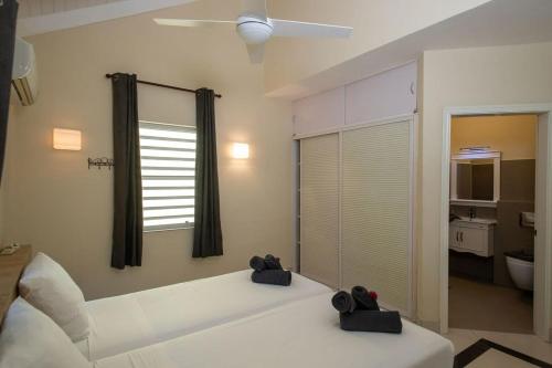 a bedroom with a white bed and a window at Caracara D1 Relax & Dive Resort Bonaire Village in Kralendijk