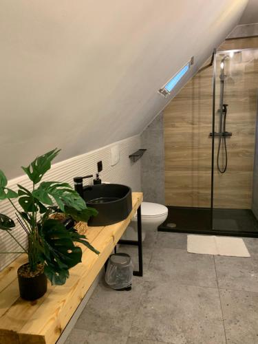a bathroom with a sink and a shower and a toilet at Apartamenty Astor - Słoneczny in Szczawno-Zdrój