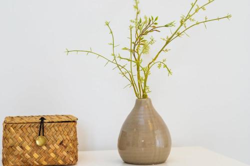 a vase with a plant in it next to a box at Kas Dive-In with Private Pool on the Laguna Marina in Kralendijk