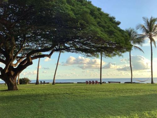 a park with a tree and some chairs and the ocean at Waimea Plantation Cottages, a Coast Resort in Waimea