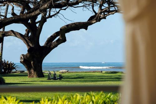 a tree sitting in the grass next to the ocean at Waimea Plantation Cottages, a Coast Resort in Waimea