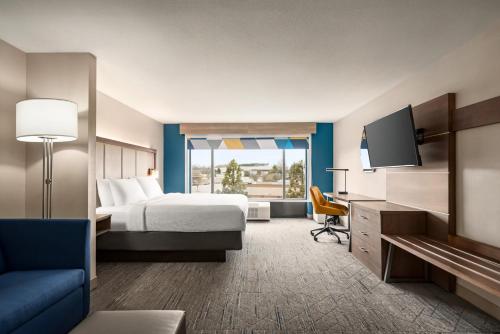 a hotel room with a bed and a television at Holiday Inn Express Hotel & Suites McDonough by IHG in McDonough