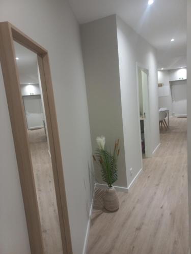 a hallway of an apartment with a plant in a vase at Casinha de Santo Amaro in Ourém