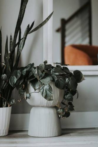 a white vase with a plant in it on a table at Winner's Circle in The City in Lexington