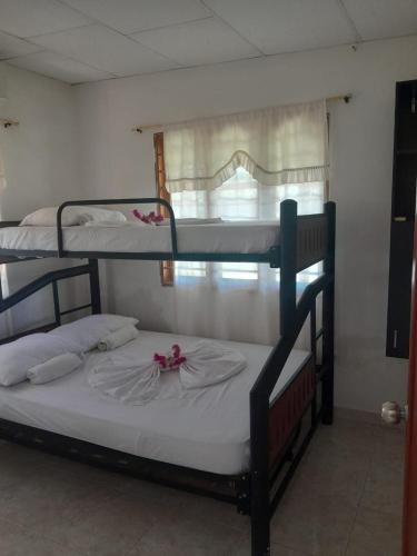two bunk beds in a room with a window at Jilymar Cabaña de descanso, Isla de Barú - Cartagena in Santa Ana