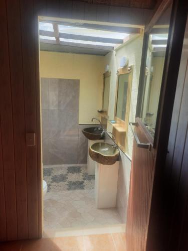 a bathroom with a sink and a shower and a toilet at Orchid Island Bure in Pacific Harbour