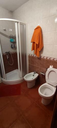 a bathroom with a toilet and a shower and a bidet at ABUELA MARIA in Pasarón