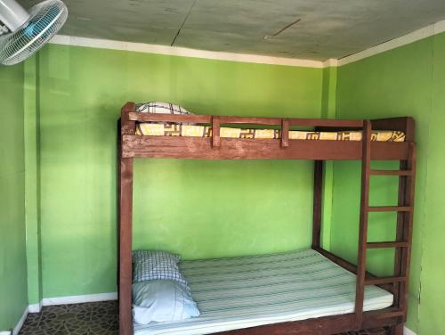 a bunk bed in a room with a green wall at Sir Louie Lodging House in Majayjay
