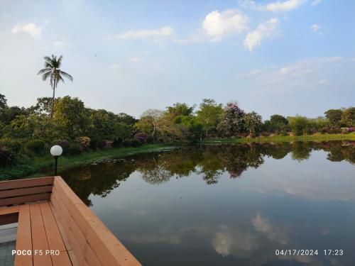 a view of a body of water with a palm tree at Cottage by the pond in Ban Thung Khao Tok