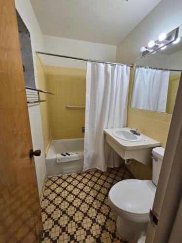a bathroom with a toilet and a sink and a shower at Hastings Inn in Hastings