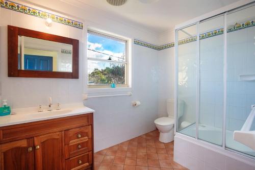a bathroom with a shower and a sink and a toilet at Spectacular Views in Mollymook