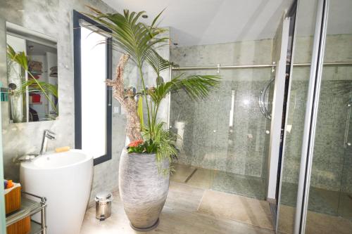 La salle de bains est pourvue d'un grand vase avec une plante. dans l'établissement Villa Quadrille, à Lorgues
