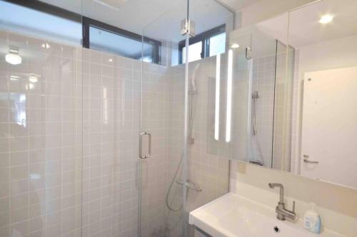 a bathroom with a shower and a sink at Hakuba Cottage Karamatsu in Hakuba