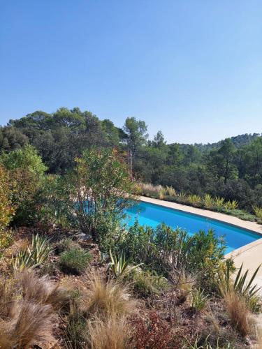 une piscine au milieu d'un champ avec des arbres dans l'établissement Villa Quadrille, à Lorgues