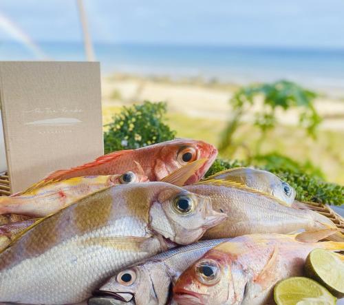 a pile of fish sitting on top of a table at M Resort & Spa in Port Vila