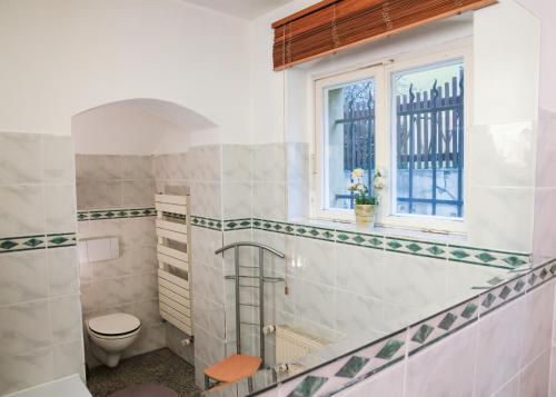 bagno con servizi igienici e finestra. di Ferienwohnung Weintraube a Dresda