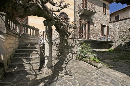 ein Schatten eines Baumes auf der Seite eines Gebäudes in der Unterkunft Il Glicine Di Anna - Happy Rentals in Gignese