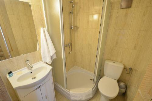 La salle de bains est pourvue d'une douche, de toilettes et d'un lavabo. dans l'établissement Pensjonat Krokus, à Szczyrk